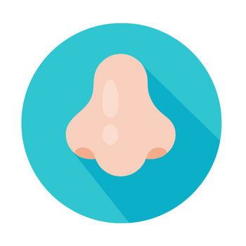An illustration of a nose in a teal circle